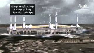 فيديو.