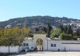 أعمدة الدخان تتصاعد بمقبرة المجاهدين