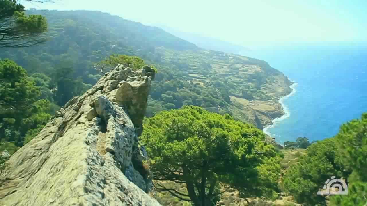 مشروع «فيلات» أغنياء طنجة يهدد آخر ما تبقى من الغطاء الغابوي المحيط بالمدينة