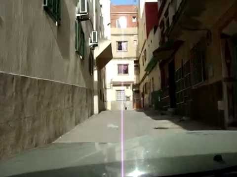 طنجة : قطع الأشجار وبيع الآجور على الرصيف بشارع حومة 