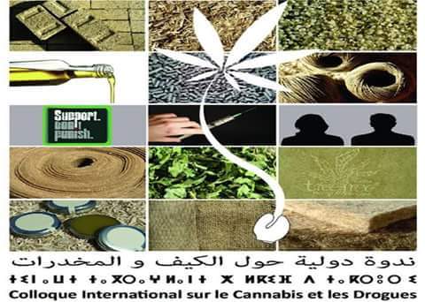 طنجة : ندوة حول زراعة الكيف او القنب الهندي !؟ 