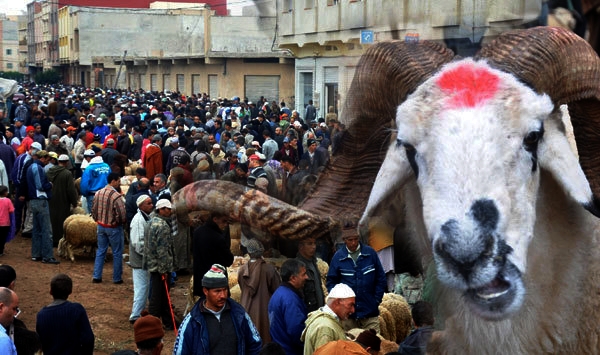 عيد الأضحى يدفع أسرا للتضحية بأثاثها..وعلماء: لا ثواب في ذلك
