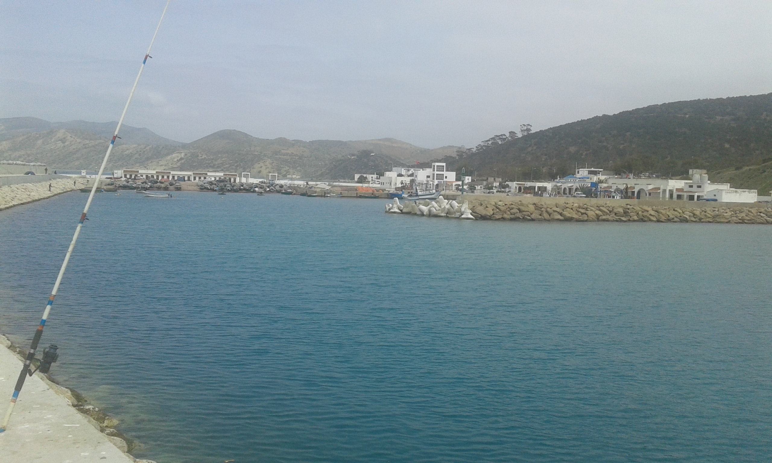 طنجة : الحديث عن تعويض الشباك المتضررة من سمك النيكرو !