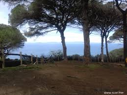 طنجة : حملة تنظيف للوسط الطبيعي ​احتفاء باليوم العالمي للارض 