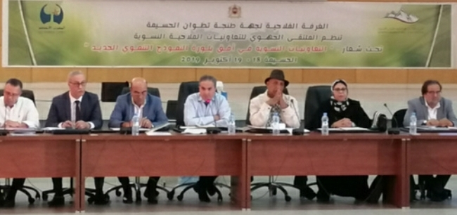 الدعوة إلى النهوض بالتعاونيات الفلاحية النسوية بالحسيمة