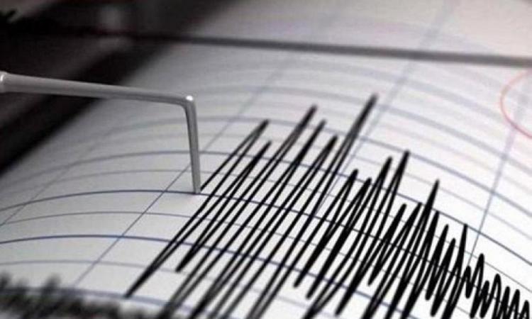 هزة أرضية جديدة بهذه المناطق،  بلغت قوتها 3,7 درجة على سلم ريشتر !