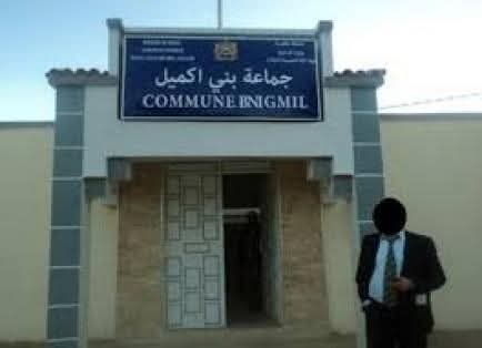 بني جميل ( الحسيمة) : وفاة طفل بسبب قرصات نحل!