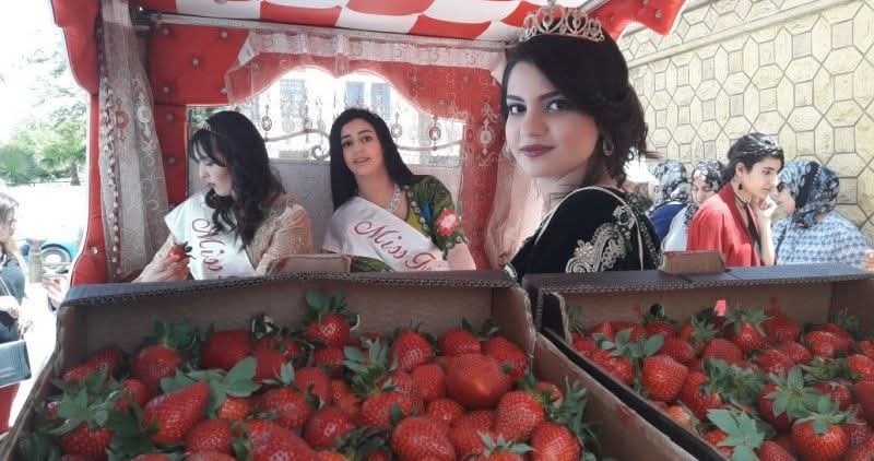 العرائش تحتضن الدورة الثانية من ملكة جمال الفراولة!