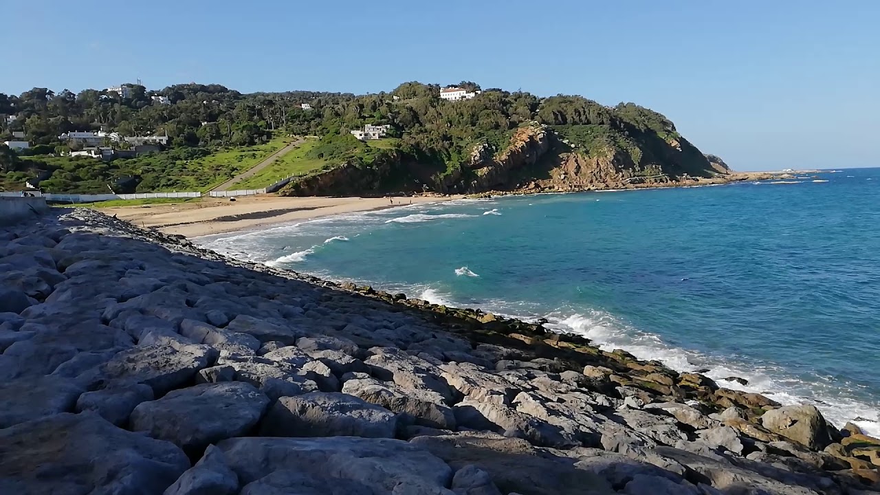 بين غموض التراخيص وزحف الإسمنت: المعركة الأخيرة من أجل غابة الرميلات