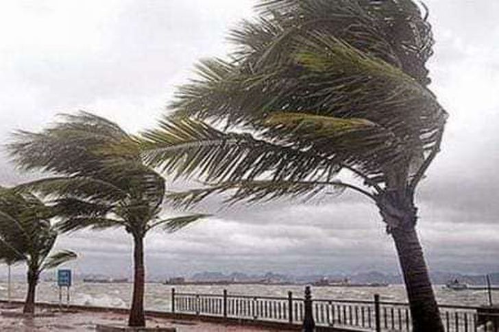 أحوال الطقس: زخات رعدية قوية مرتقبة ورياح عاصفية بهذه المناطق 