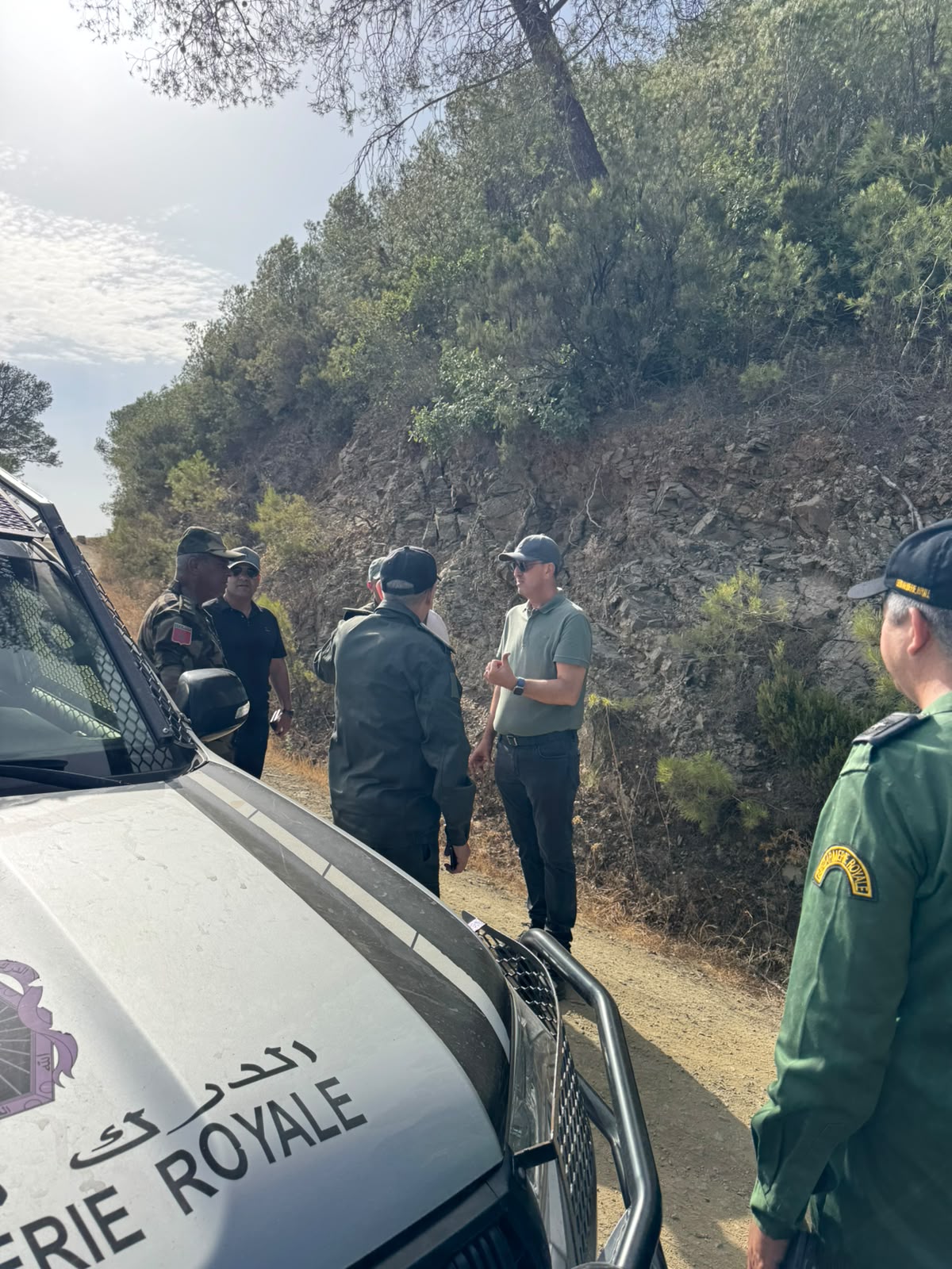 تحت اشراف والي طنجة يونس التازي تم إخماد حريق غابوي بغابة كيتان ضواحي تطوان
